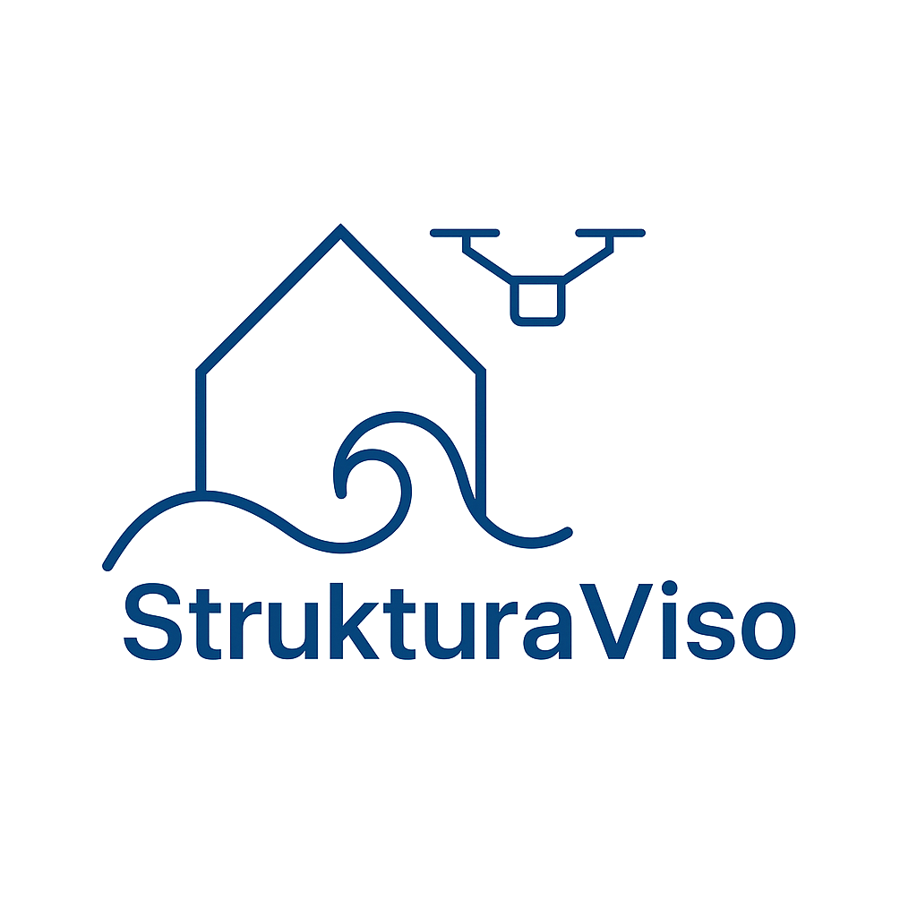 StrukturaViso Logo